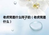 老虎凳是什么样子的（老虎凳是什么）
