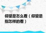 仰望是怎么看（仰望是指怎样的看）