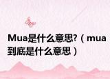Mua是什么意思?（mua到底是什么意思）