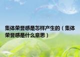 集体荣誉感是怎样产生的（集体荣誉感是什么意思）