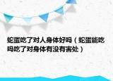 蛇蛋吃了对人身体好吗（蛇蛋能吃吗吃了对身体有没有害处）