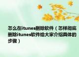 怎么在itunes删除软件（怎样彻底删除itunes软件给大家介绍具体的步骤）