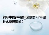 钢琴中的piu是什么意思（piu是什么意思钢琴）