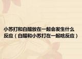 小苏打和白醋放在一起会发生什么反应（白醋和小苏打在一起啥反应）