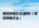 樱花种植方法(撒种)（樱花种植方法）