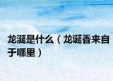 龙涎是什么（龙诞香来自于哪里）