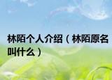 林陌个人介绍（林陌原名叫什么）