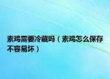 素鸡需要冷藏吗（素鸡怎么保存不容易坏）