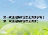 第一次使用热水壶怎么清洗水垢（第一次使用热水壶怎么清洗）