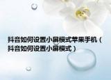 抖音如何设置小屏模式苹果手机（抖音如何设置小屏模式）