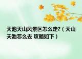 天池天山风景区怎么走?（天山天池怎么去 攻略如下）