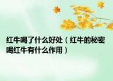 红牛喝了什么好处（红牛的秘密 喝红牛有什么作用）