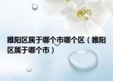 睢阳区属于哪个市哪个区（睢阳区属于哪个市）
