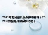2021年野猪是几级保护动物呀（2021年野猪是几级保护动物）