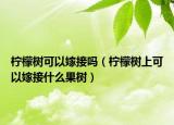 柠檬树可以嫁接吗（柠檬树上可以嫁接什么果树）