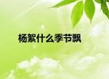 杨絮什么季节飘