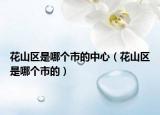 花山区是哪个市的中心（花山区是哪个市的）