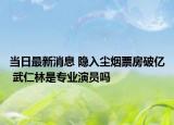 当日最新消息 隐入尘烟票房破亿 武仁林是专业演员吗