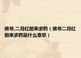 佛爷,二月红前来求药（佛爷二月红前来求药是什么意思）
