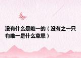 没有什么是唯一的（没有之一只有唯一是什么意思）