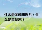 什么是金棘末图片（什么是金棘末）