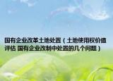 国有企业改革土地处置（土地使用权价值评估 国有企业改制中处置的几个问题）