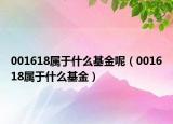 001618属于什么基金呢（001618属于什么基金）