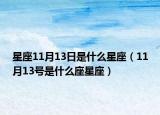 星座11月13日是什么星座（11月13号是什么座星座）