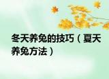 冬天养兔的技巧（夏天养兔方法）