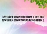 支付宝城乡居民医保如何缴费（怎么用支付宝给城乡居民医保缴费 再也不用排队）