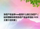 净资产收益率roe是用什么除以净资产（如何理解和使用净资产收益率指标 ROE主要介绍攻略）