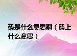 码是什么意思啊（码上什么意思）