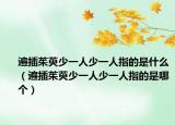 遍插茱萸少一人少一人指的是什么（遍插茱萸少一人少一人指的是哪个）
