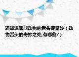 还知道哪些动物的舌头很奇妙（动物舌头的奇妙之处,有哪些?）