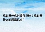 鸡叫是什么时候几点钟（鸡叫是什么时辰是几点）