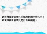 武天祥和上官雪儿的电视剧叫什么名字（武天祥和上官雪儿是什么电视剧）