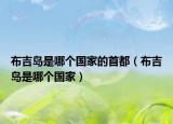 布吉岛是哪个国家的首都（布吉岛是哪个国家）