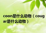 coon是什么动物（cougar是什么动物）