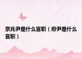 京兆尹是什么官职（府尹是什么官职）