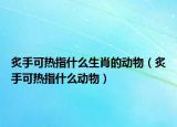 炙手可热指什么生肖的动物（炙手可热指什么动物）