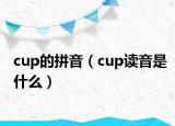cup的拼音（cup读音是什么）