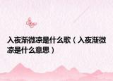 入夜渐微凉是什么歌（入夜渐微凉是什么意思）