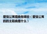 爱情公寓插曲有哪些（爱情公寓的的主题曲是什么）