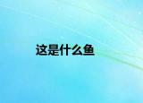 这是什么鱼