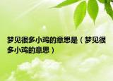 梦见很多小鸡的意思是（梦见很多小鸡的意思）