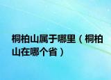 桐柏山属于哪里（桐柏山在哪个省）