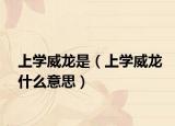 上学威龙是（上学威龙什么意思）