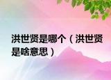 洪世贤是哪个（洪世贤是啥意思）