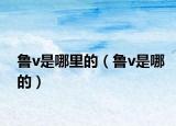 鲁v是哪里的（鲁v是哪的）