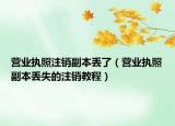 营业执照注销副本丢了（营业执照副本丢失的注销教程）